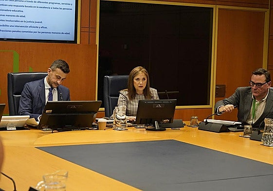 La consejera María Jesús San José durante su comparecencia.