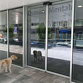 Un perro a la entrada de la unidad de salud mental del Hospital de Eibar.