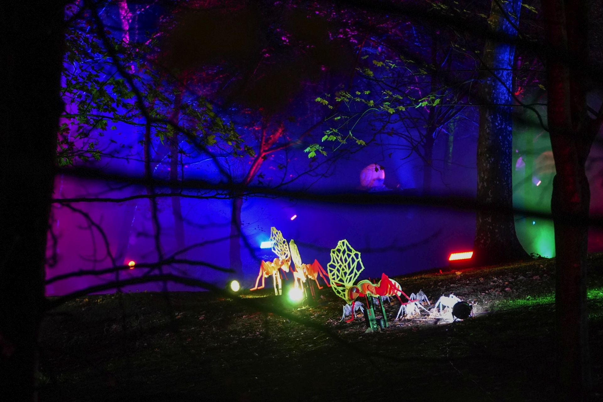 Miramar Magikoaren irekiera ekitaldia