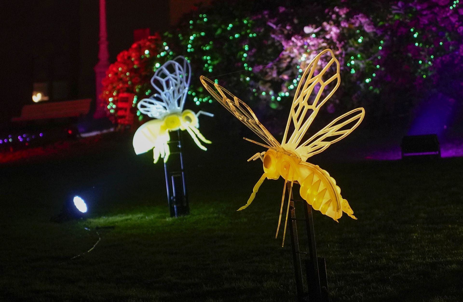 Miramar Magikoaren irekiera ekitaldia