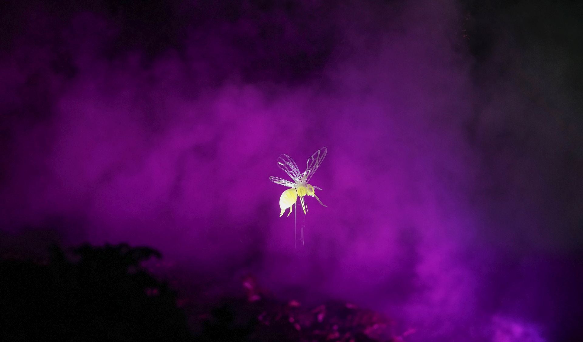 Miramar Magikoaren irekiera ekitaldia