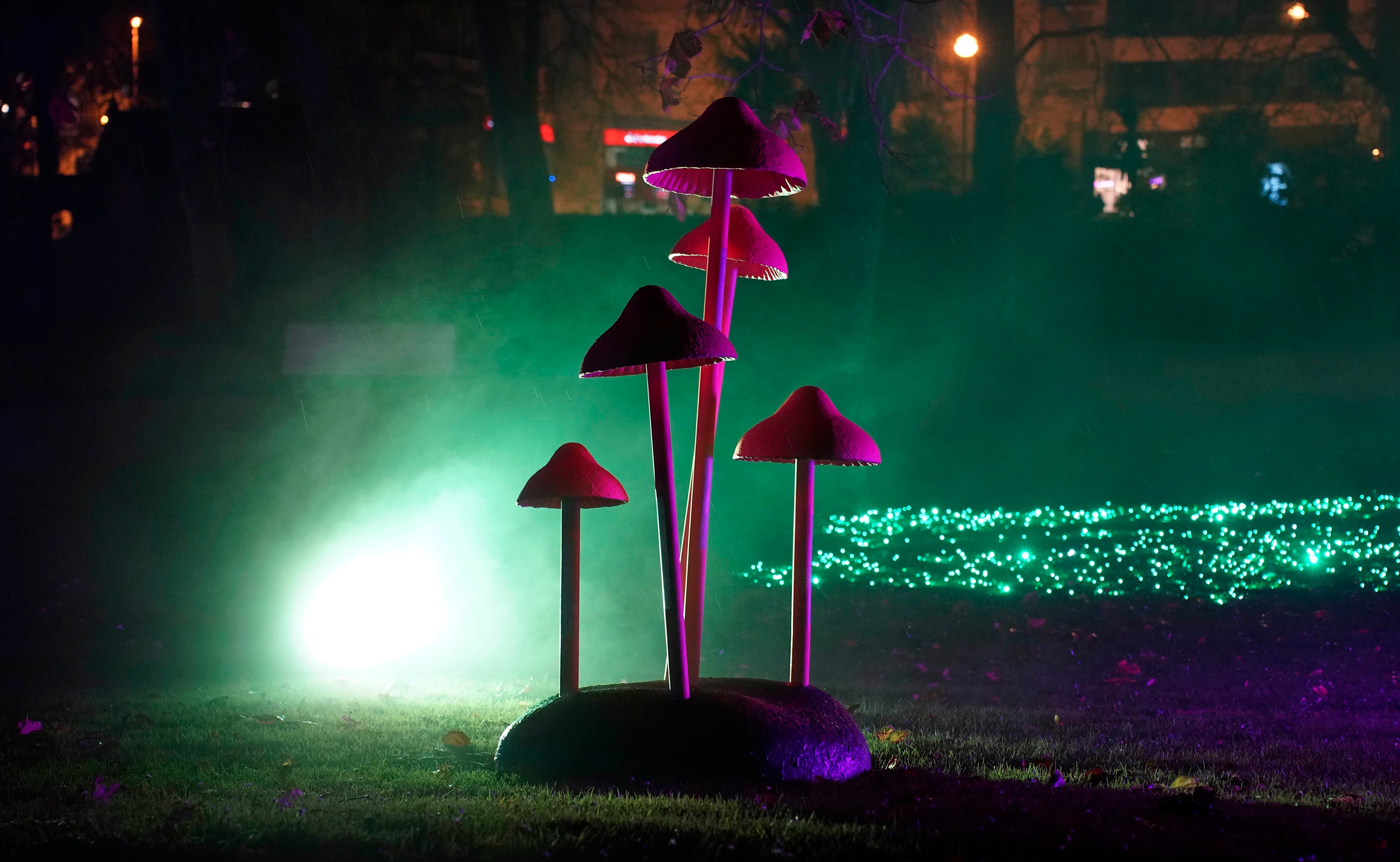 Miramar Magikoaren irekiera ekitaldia