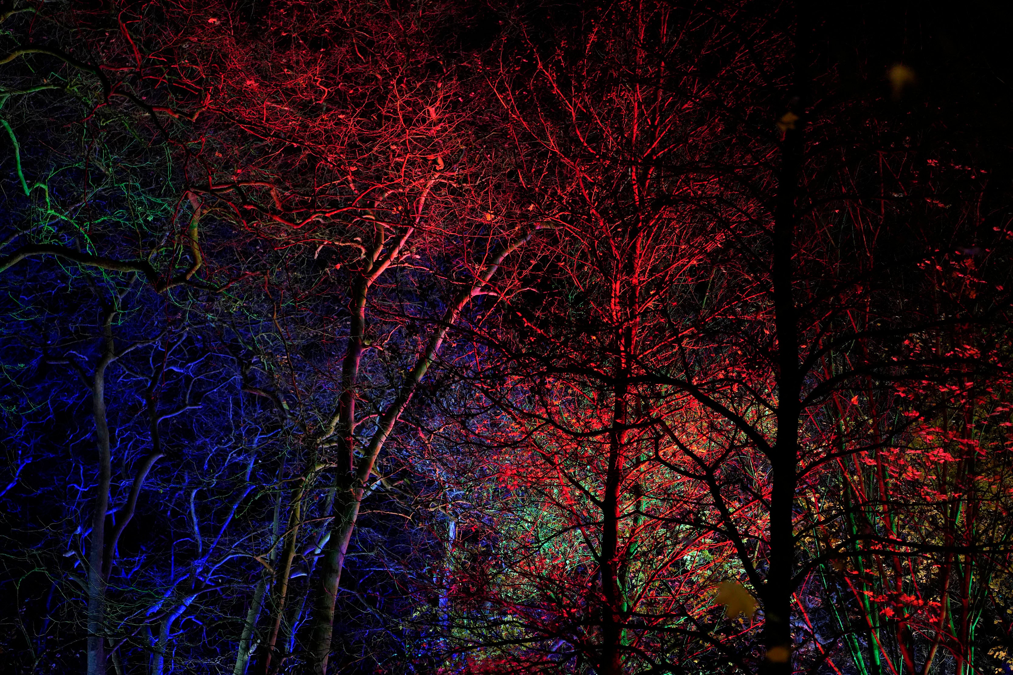 Miramar Magikoaren irekiera ekitaldia