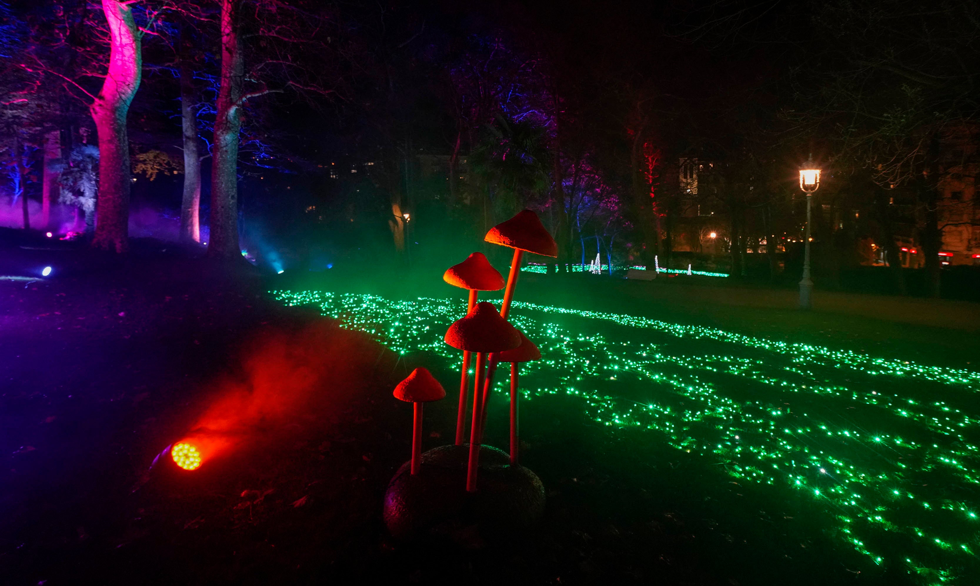 Miramar Magikoaren irekiera ekitaldia