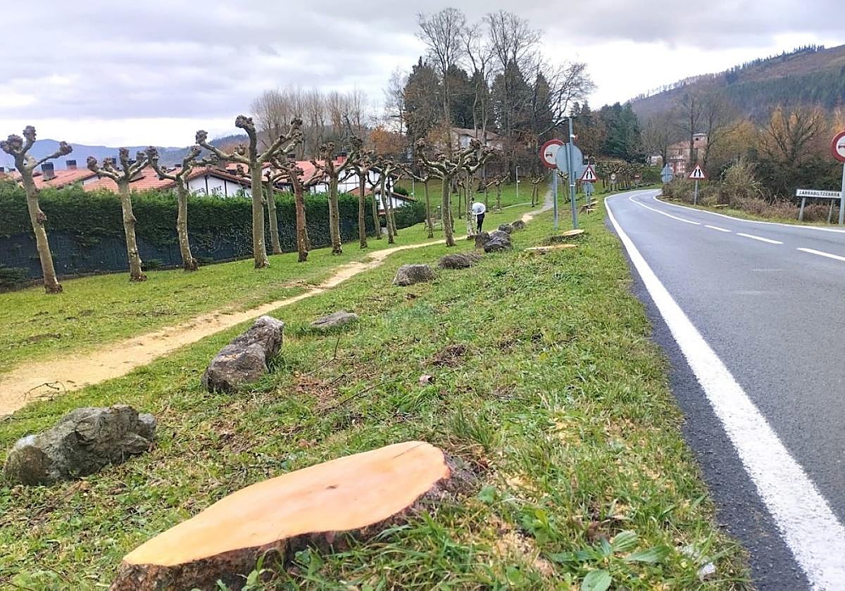 El esfuerzo municipal ahora se centra en que la Diputación saque los tocones de la tala.