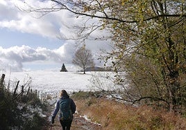 El paisaje nevado de la salida del pasado noviembre de Alegia hasta Bidania-Goiatz.