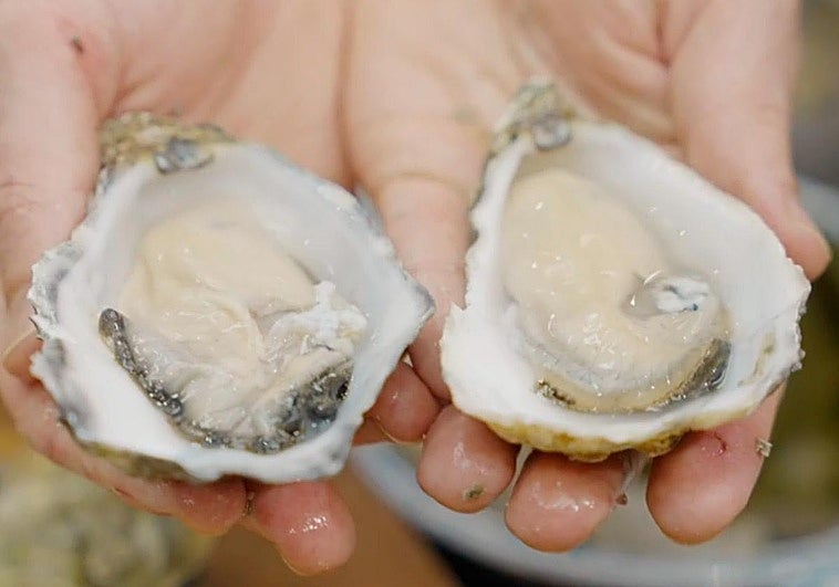 Ostras y champán, una combinación imbatible