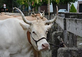 En  Navarra, los pagos que faltaban de la PAC, desde ayer.