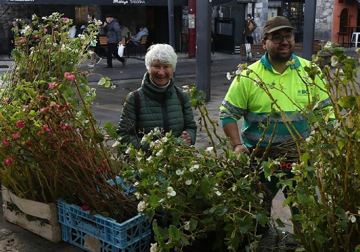 El Ayuntamiento regala 300 begonias y alegrías