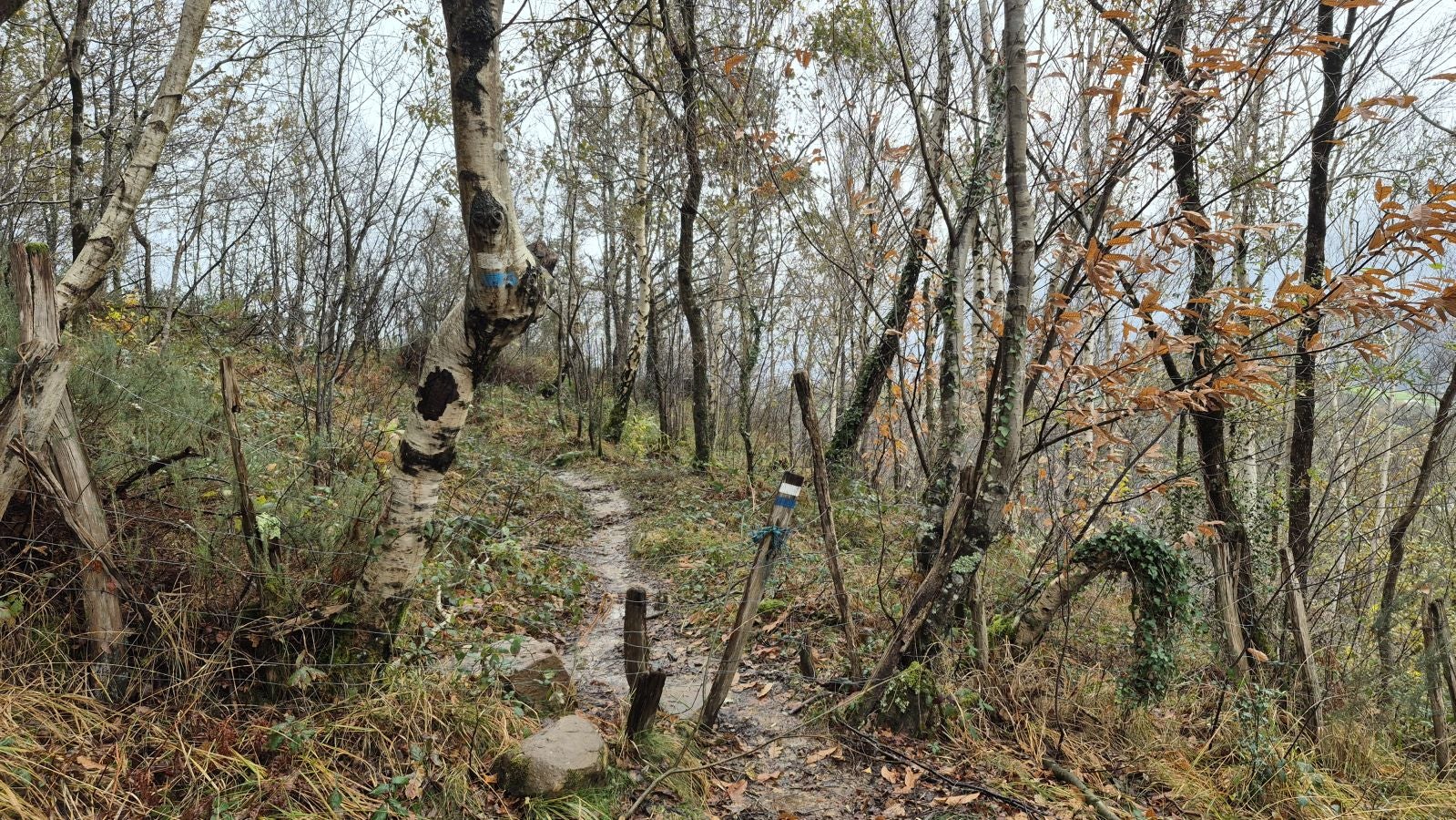 Oindi, un rincón mágico a la sombra del Adarra