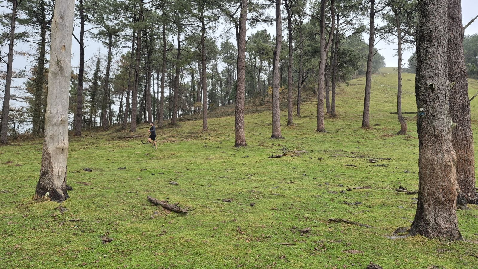 Oindi, un rincón mágico a la sombra del Adarra