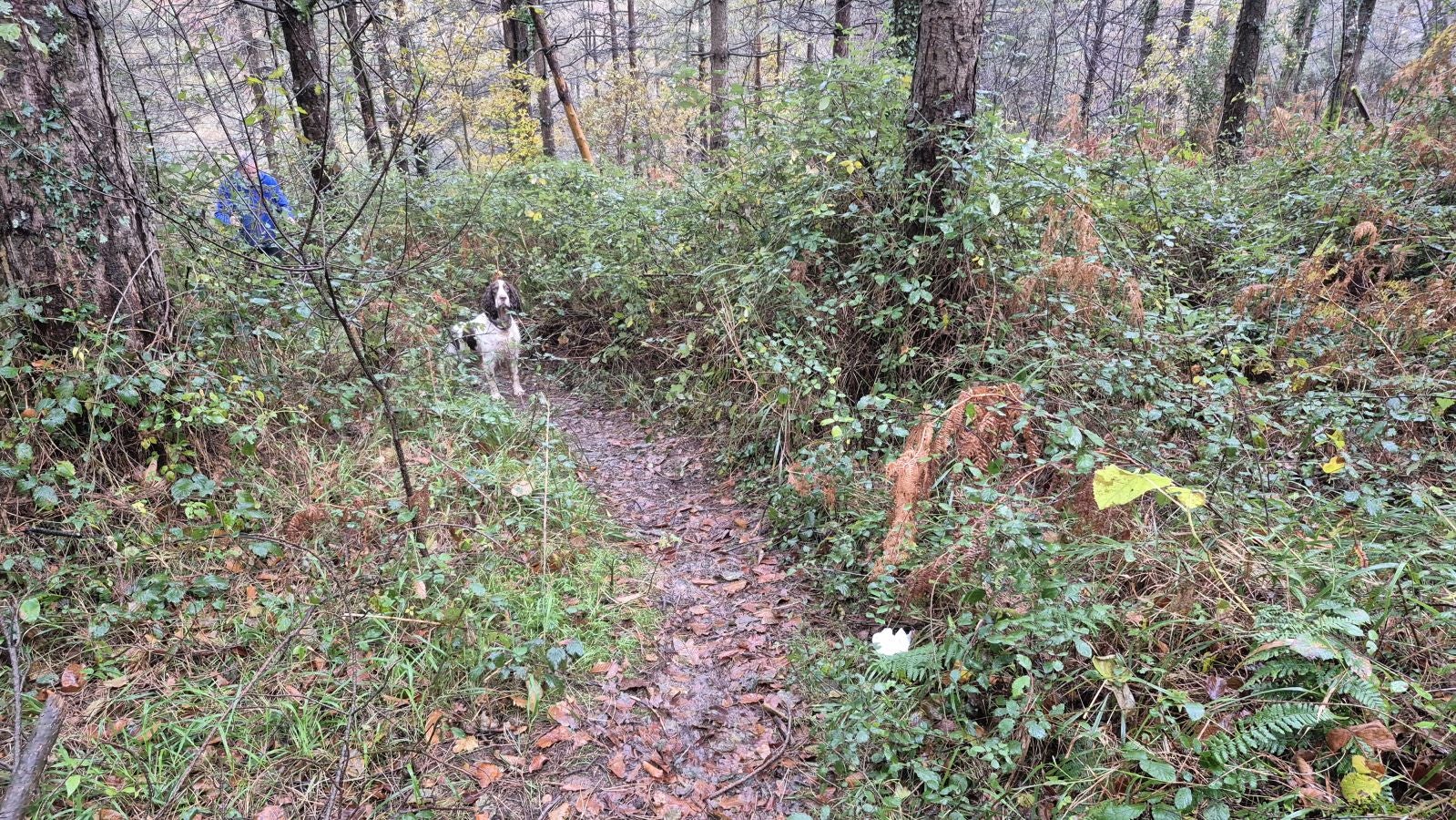 Oindi, un rincón mágico a la sombra del Adarra