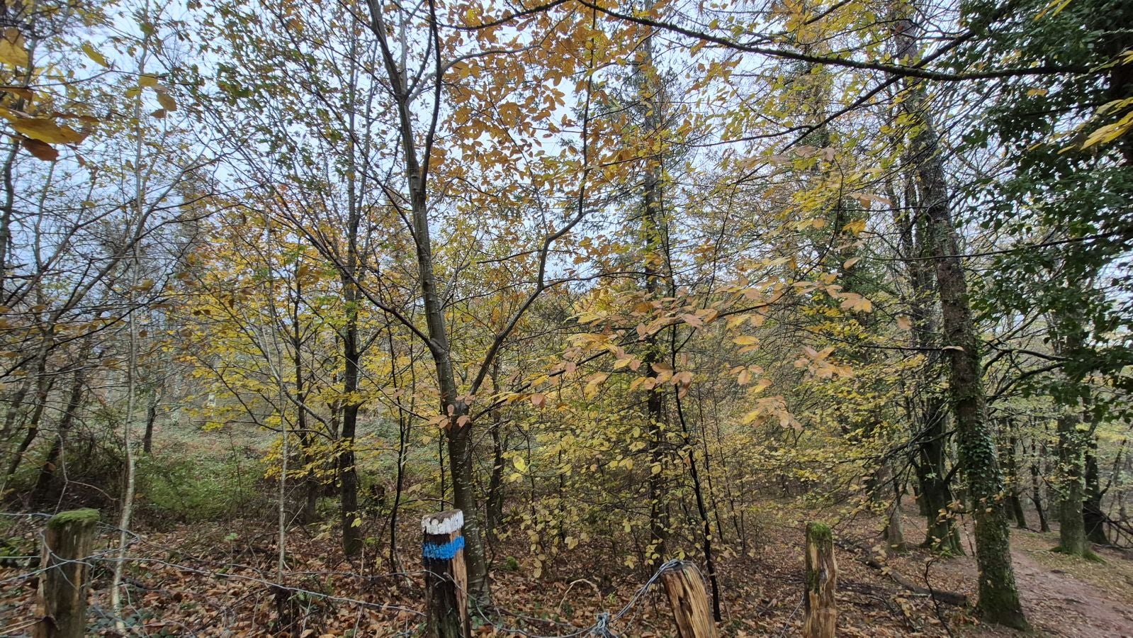 Oindi, un rincón mágico a la sombra del Adarra