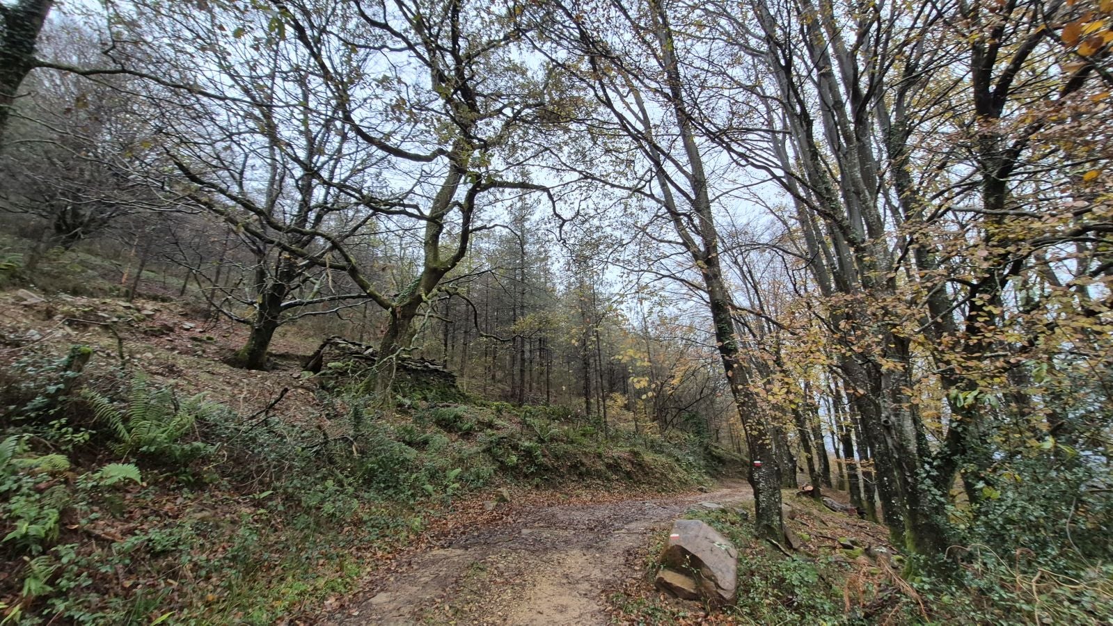 Oindi, un rincón mágico a la sombra del Adarra