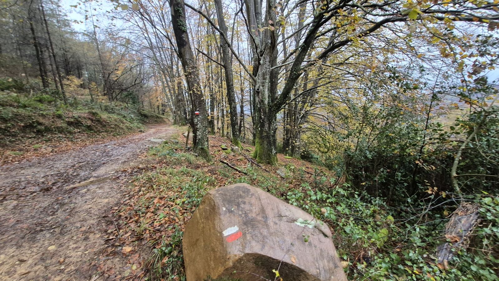 Oindi, un rincón mágico a la sombra del Adarra