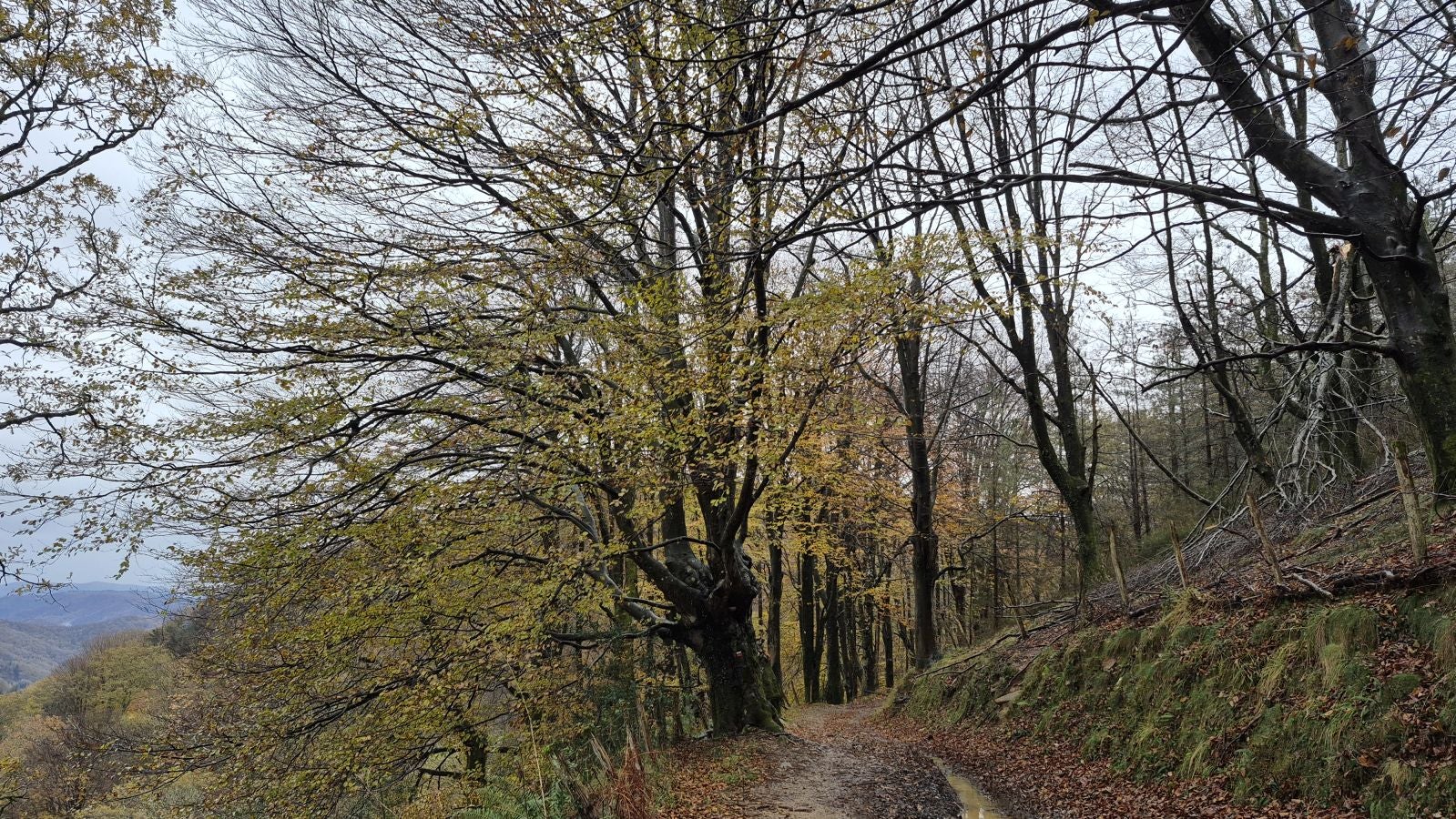 Oindi, un rincón mágico a la sombra del Adarra
