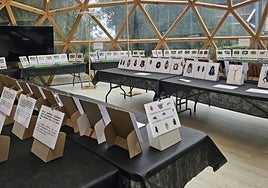 'Zaindu ditzagun tximeletak' erakusketa izan da Zumaienan.