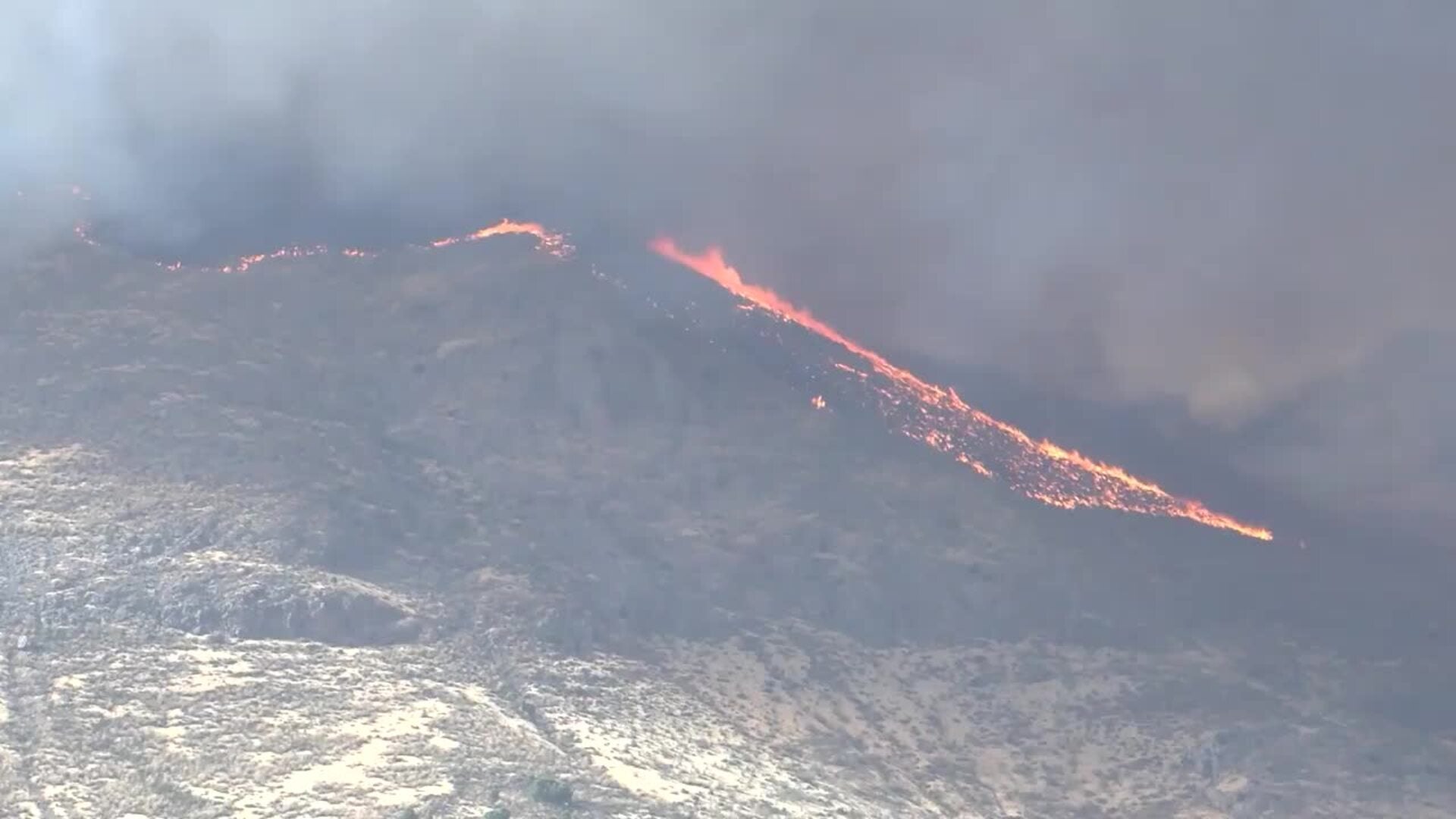 CSIF denuncia el despido de 4.000 bomberos forestales y demanda un Pacto de Estado
