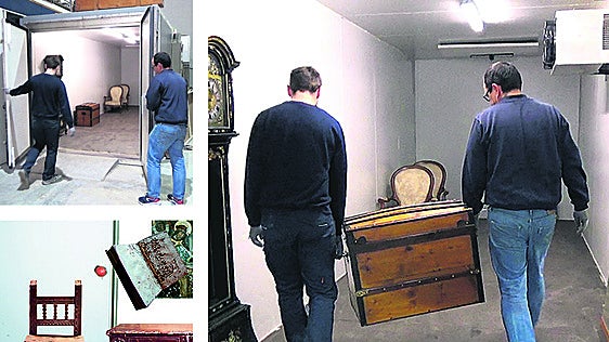 Congelar la madera, método infalible para evitar las plagas
