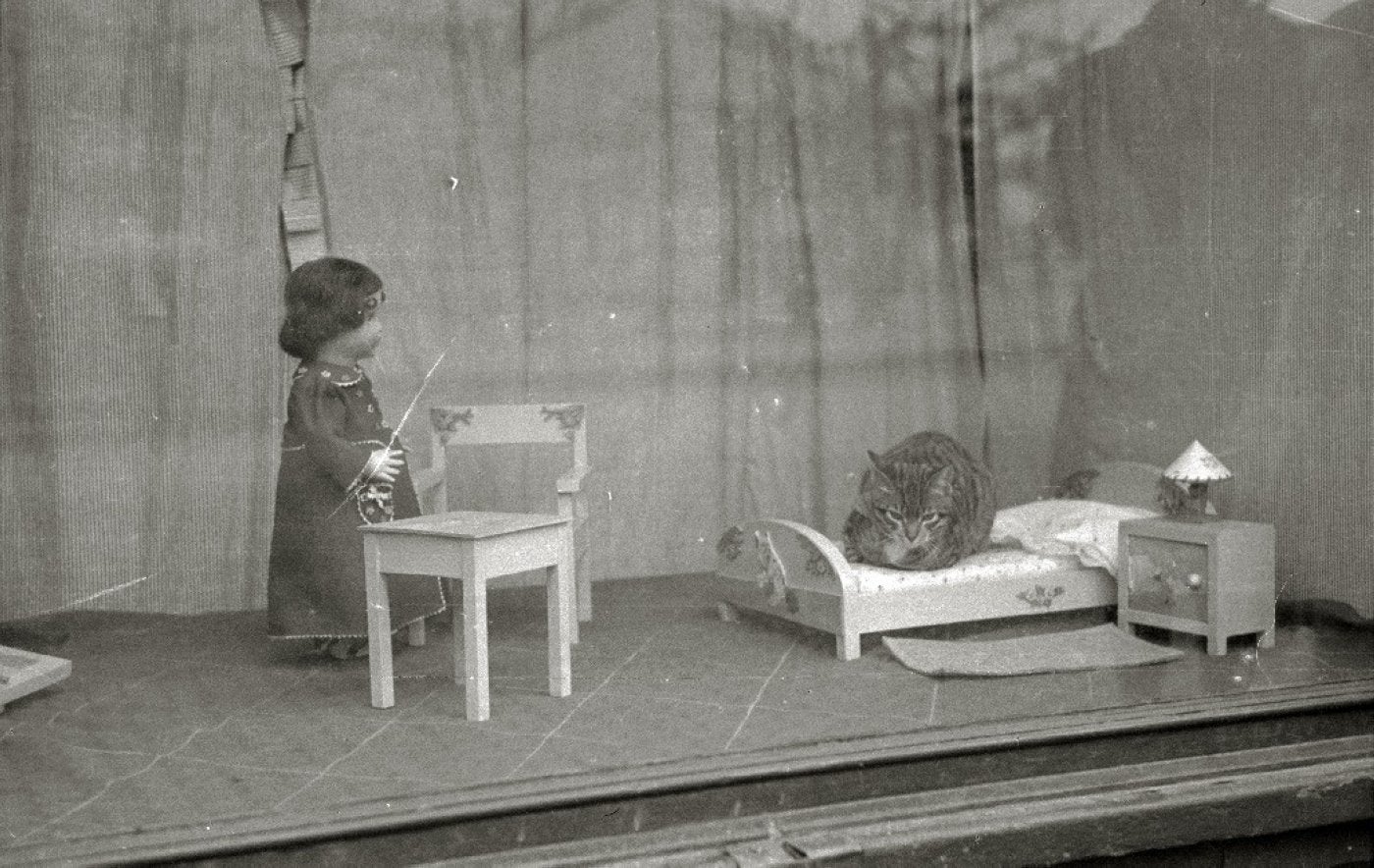 Donostia en 1951: un paseo por la memoria entre gatos, letreros y turistas