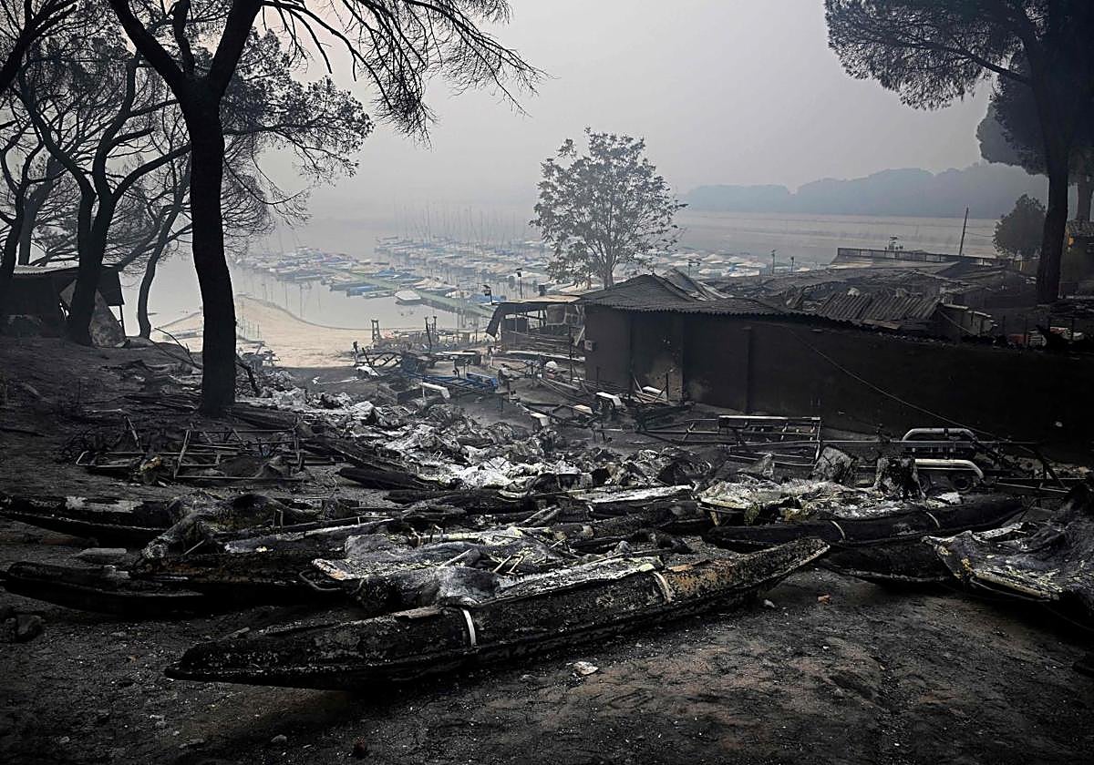 «El incendio de Madrid empieza a estar controlado, pero tenemos que asegurar la zona»
