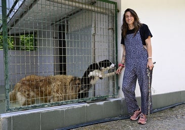 El estigma de las razas PPP condena a decenas de perros a la invisibilidad: «Los pitbull que tenemos son maravillosos»