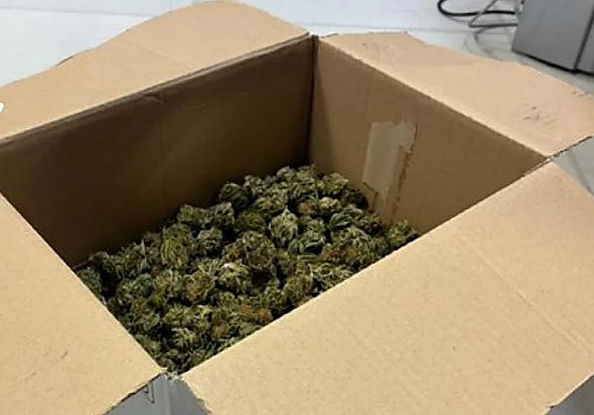 128 denuncias y 23 detenidos por tráfico de drogas en Gipuzkoa
