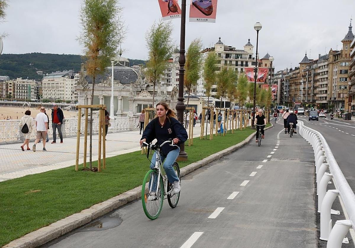 La queja de un ciclista de San Sebastián por las paradas de los tours turísticos en pleno carril bici: «¿Hay algún tipo de control?»