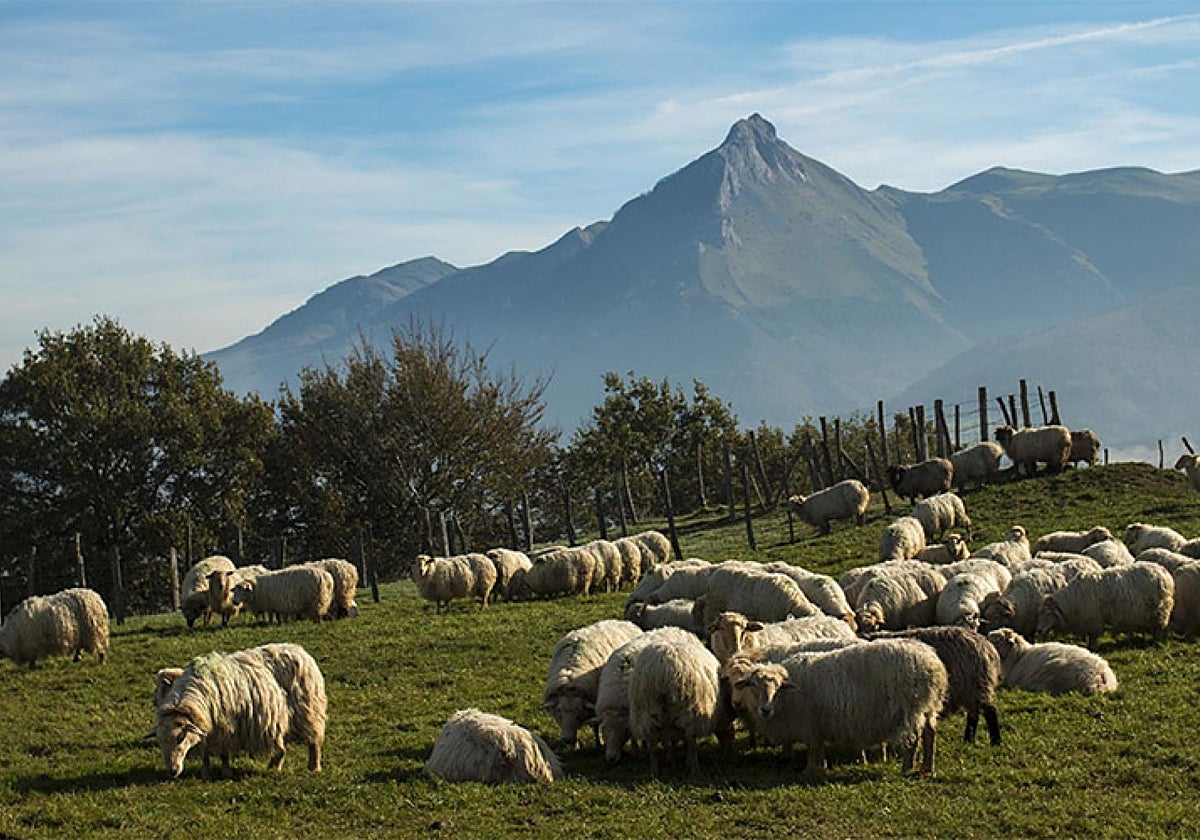 Un verano con más turistas extranjeros en Goierri
