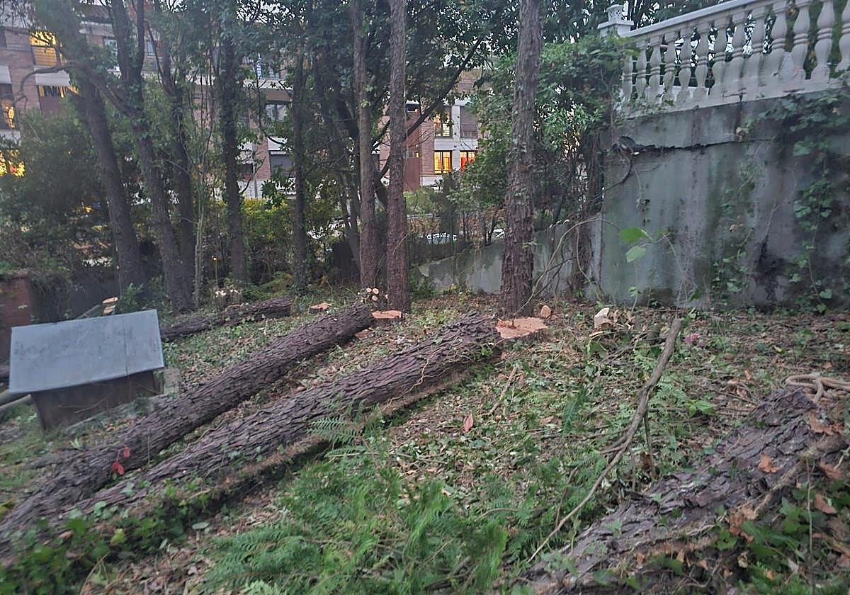 La Asociación de Vecinos de Lugaritz denuncia la tala sin licencia de más de 40 árboles en la finca Ereski de Aiete