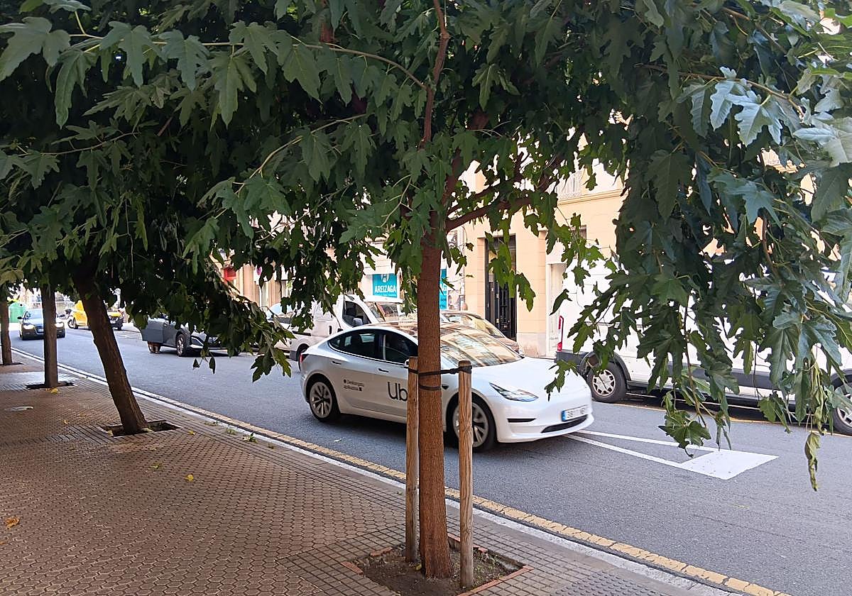 Sirimiri: La selva crece en la calle Bengoetxea