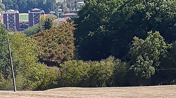El imprudente lanzamiento de pirotecnia originó un incendio en Santa Bárbara