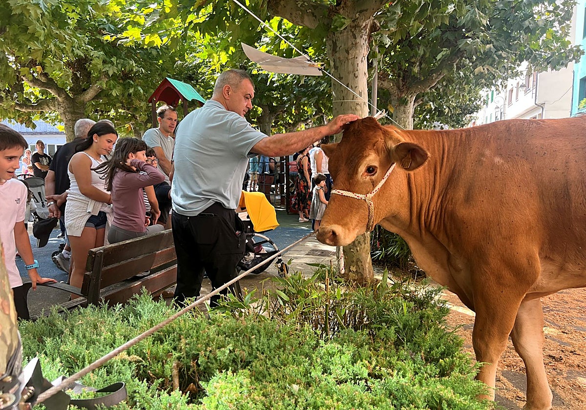 Feria de ganado de las fiestas de Urretxu