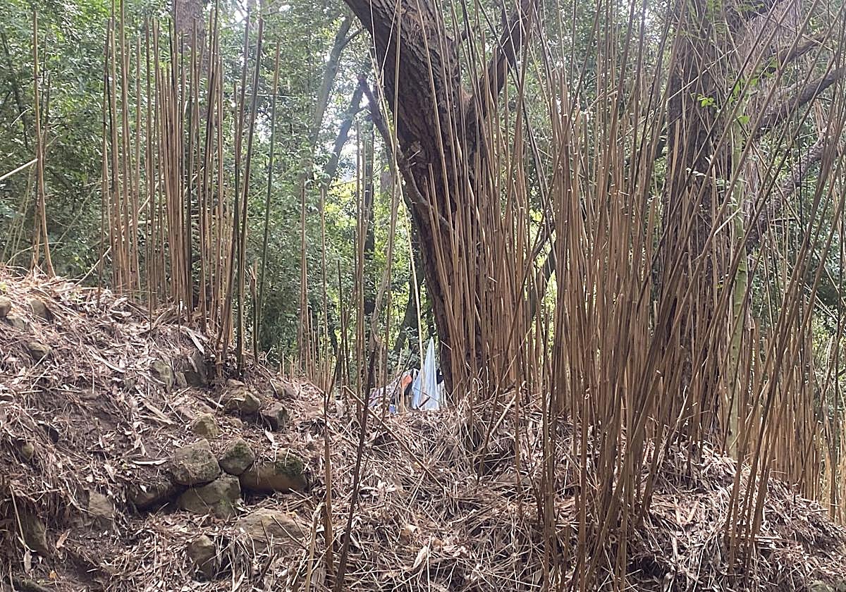 Sirimiri: Asentamientos en pleno sendero de Ulia