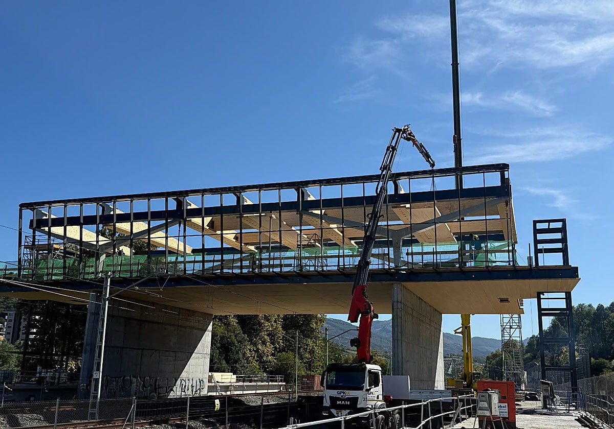 El PSE-EE valora positivamente la licitación del montaje de vía y electrificación de la estación