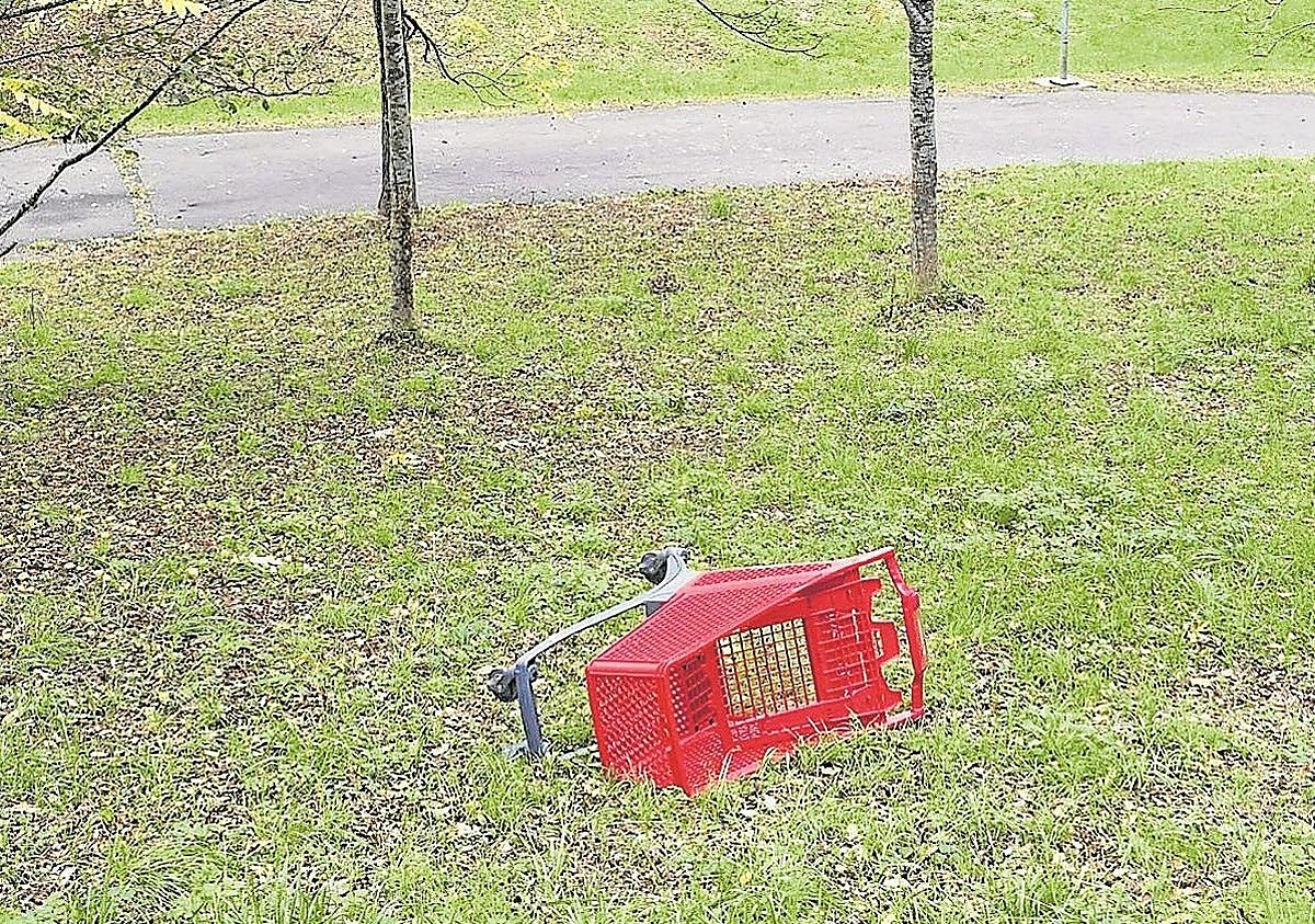 Sirimiri: Carro de compra, en el parque Otxoki