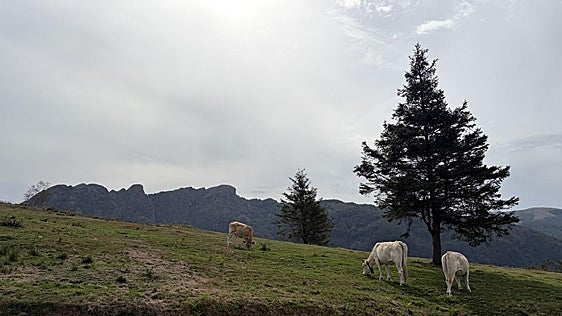 Beltzaitz: un mirador con mucha clase