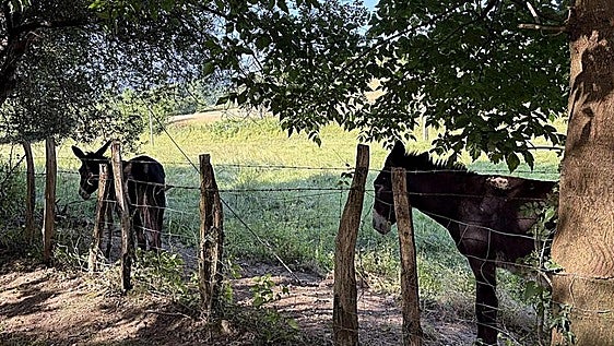 Comparte las fotos de tus salidas montañeras