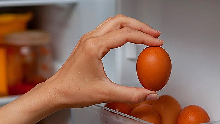 Los huevos se guardan ¿fuera o dentro de la nevera?