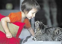 Cuidados con las mascotas