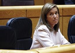 Ana Mato, en el Senado. / Ballesteros (Efe)
