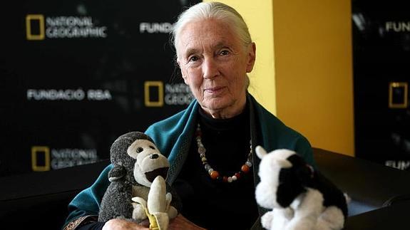 Jane Goodall.