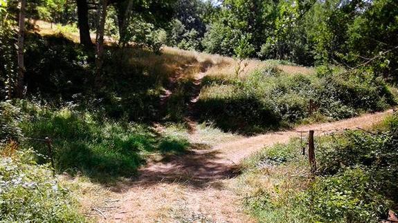 En la imagen, las dos estacas que sujetaban el cable en el punto exacto en el que se produjo el accidente.