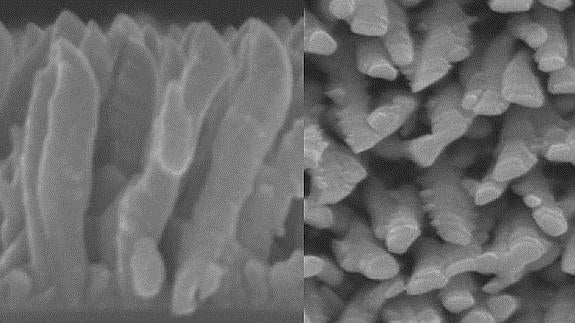 Vista lateral y cenital de las nanocolumnas de titanio del recubrimiento para implantes óseos.