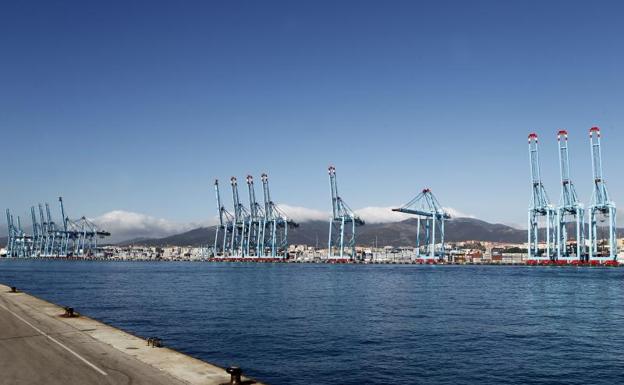 Grúas paradas en el puerto de Algeciras el lunes. 
