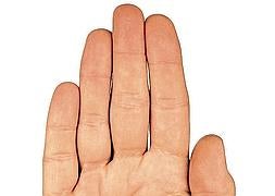 Cuanto más similares son los dedos índice y anular, más largo es el pene.