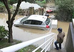 ¿Hubo falta de previsión? ¿Falta de ayudas?