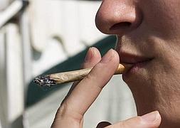 Los expertos abogan por regular el cannabis «para adaptarse a la realidad»