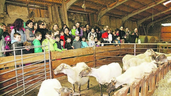 La familia cuenta con un rebaño de 120 ovejas. 