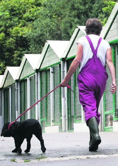 El albergue de Igeldo también funciona como hotel para los perros cuando los dueños se van de vacaciones.